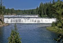 Yellowstone National Park’s Zone of Death Yellowstone Park's Zone of Death